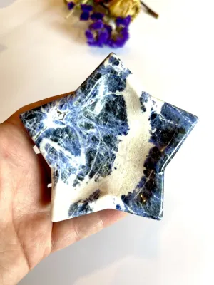 Star Bright Star Light Sodalite Dish